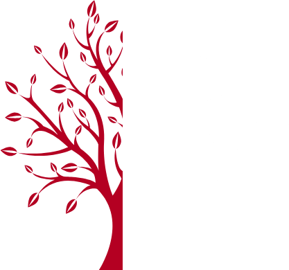 Review Pattern | Redtree Dental | Vancouver General & Family Dentist