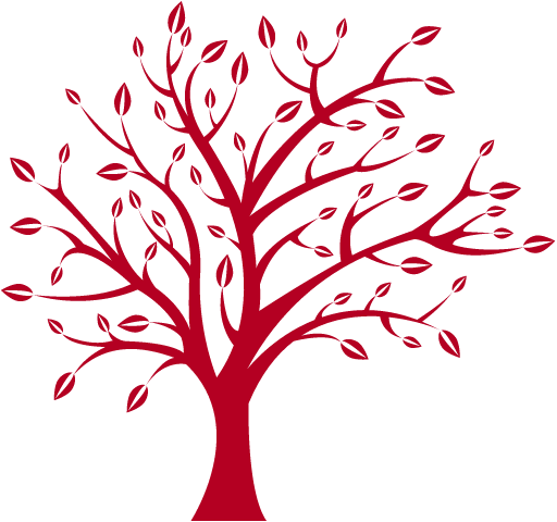 Why Choose Pattern | Redtree Dental | Vancouver General & Family Dentist