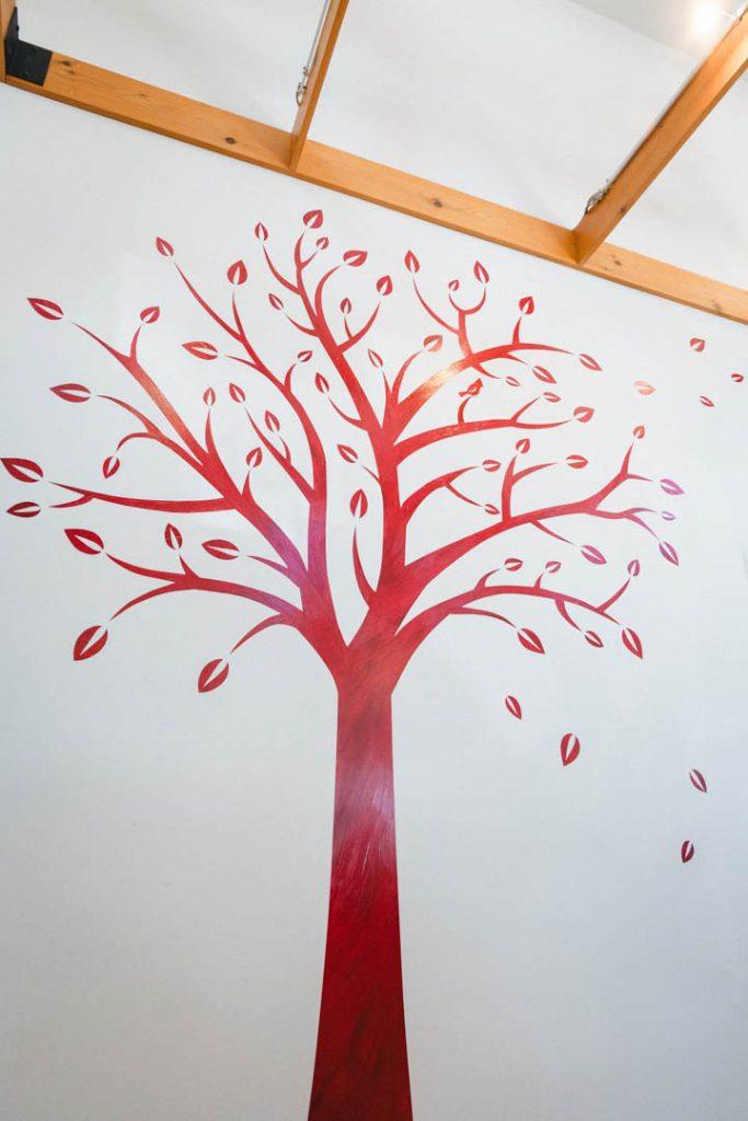 Red Tree Image | Redtree Dental | Vancouver General & Family Dentist